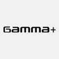 Gamma+